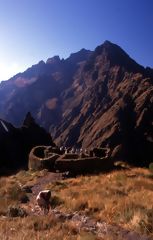 Camino Inca