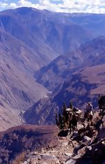Camino Inca
