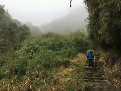 Camino Inca